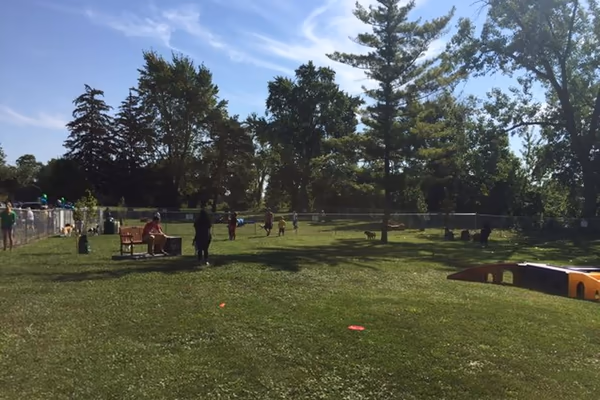 City of Napoleon Off-Leash Dog Park